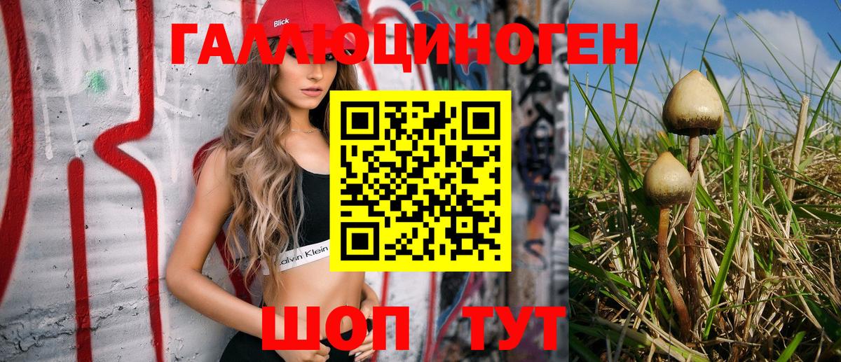 Новоалександровск  Галлюциногенные грибы MAGIC MUSHROOMS  Вход с VPN 
