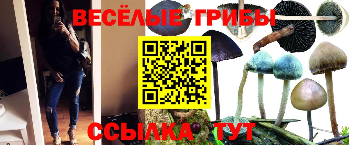 Галлюциногенные грибы ЛСД Новоалександровск